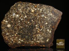 NWA 15002 (24.14 gram)
