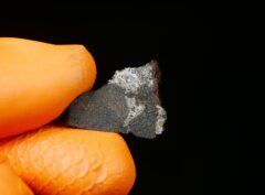 MASLYANINO (2.20 gram)