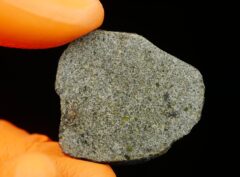 NWA 7317 (8.68 gram)