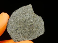 NWA 7317 (8.66 gram)
