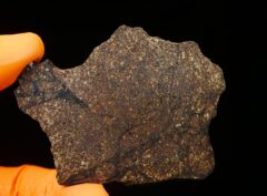 NWA 14676 (23.8 gram)