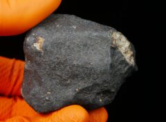 HAMMADAH AL HAMRA 346 (185.0 gram)