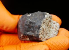 HAMMADAH AL HAMRA 346 (43.4 gram)