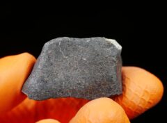 HAMMADAH AL HAMRA 346 (16.2 gram)