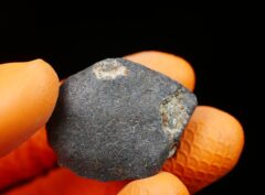 HAMMADAH AL HAMRA 346 (22.6 gram)