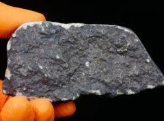 HAMMADAH AL HAMRA 346 (257.2 gram)