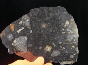 NWA 12520 (241.6 gram)
