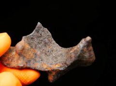 MUNDRABILLA (63.3 gram) individual