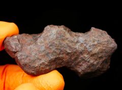 MUNDRABILLA (135.0 gram) individual