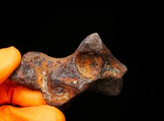 MUNDRABILLA (107.1 gram) individual