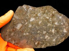 JIKHARRA 001 (172 gram)