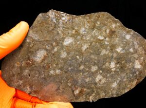 JIKHARRA 001 (172 gram)