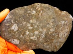 JIKHARRA 001 (184 gram)