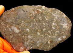 JIKHARRA 001 (177 gram)