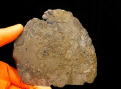 JIKHARRA 001 (113 gram)