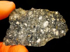 EL HAREICHA 001 (7.62 gram)
