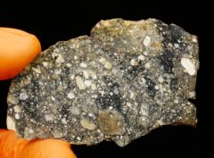 EL HAREICHA 001 (9.60 gram)
