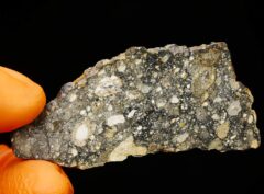 EL HAREICHA 001 (6.62 gram)