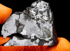 NWA 5549 (38.11 gram) endpiece
