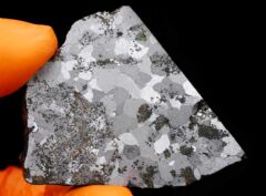 NWA 5549 (27.64 gram)