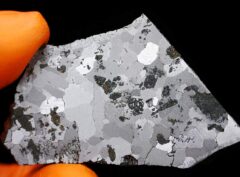 NWA 5549 (26.68 gram)
