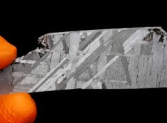 TARTAK (27.96 gram)