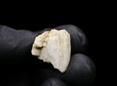 SEBKHA EL MELAH 001 (7.60 gram)