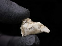 SEBKHA EL MELAH 001 (3.24 gram)