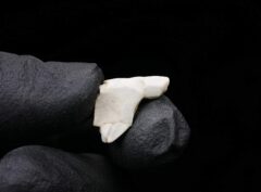 SEBKHA EL MELAH 001 (1.87 gram)