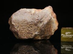 GEBEL KAMIL (54.4 gram)