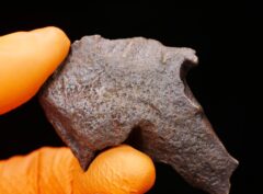 GEBEL KAMIL (100.17 gram)