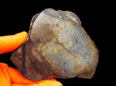 Al Haggounia 001 (319.51 gram) endpiece