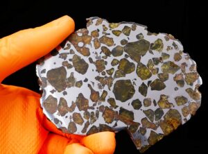 ESQUEL (96 gram)