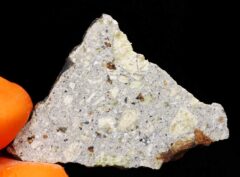NWA 15717 “DUNITE” (5.36 gram)