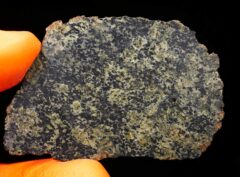 NWA 13367 (7.28 gram)