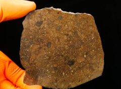 NWA 15458 (58.34 gram)