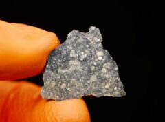 EL HAREICHA 001 (2.31 gram) endpiece