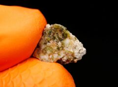 AL BIR LAHLOU 001 (0.39 gram)