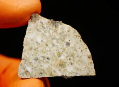 NWA 14874 (4.37 gram)