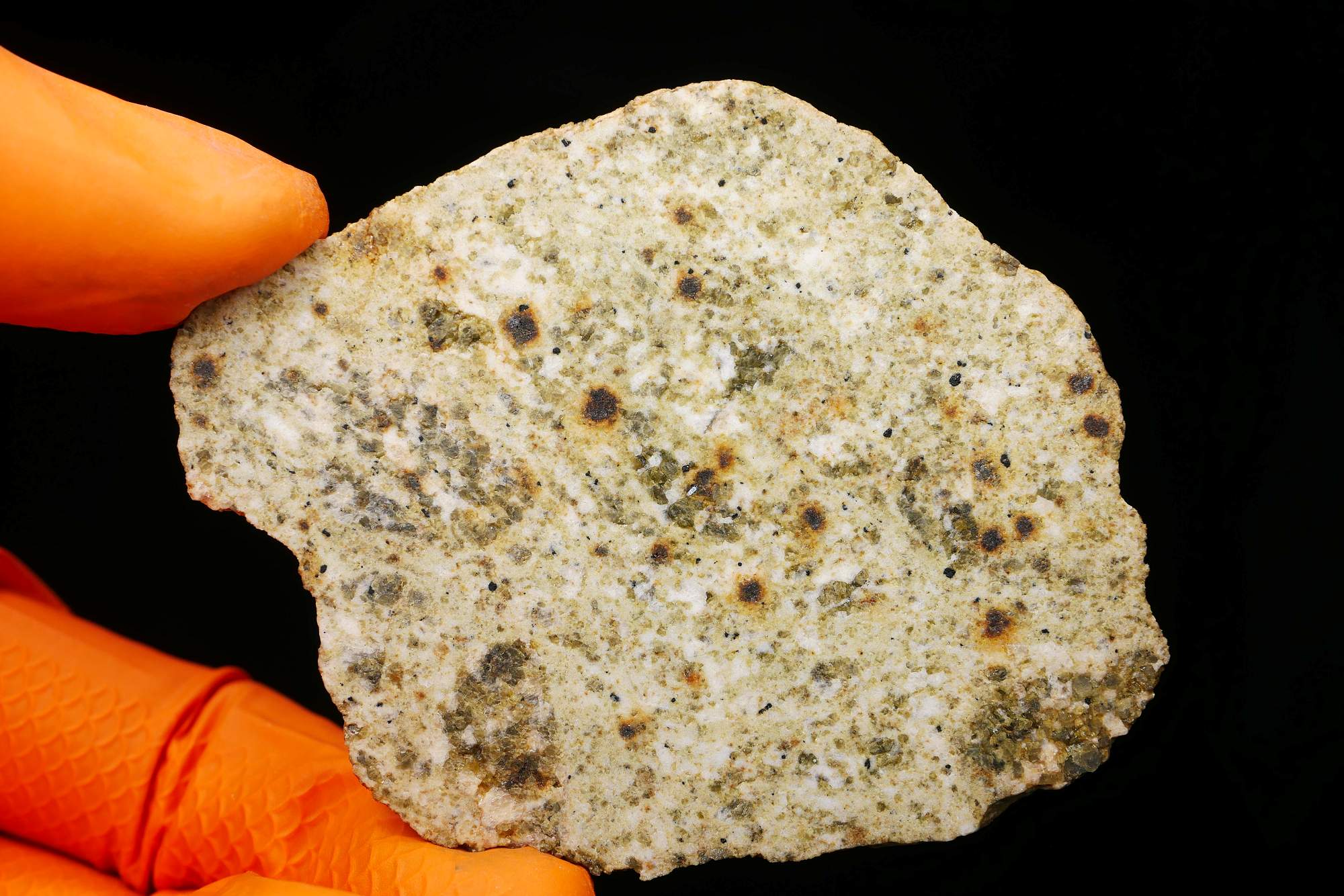 NWA 14874 (28.45 gram) – PolandMET Meteorites