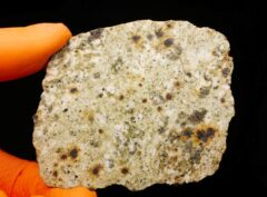 NWA 14874 (25.85 gram)