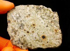 NWA 14874 (26.24 gram)