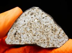 HAMMADAH AL HAMRA 346 (21.71 gram) endpiece