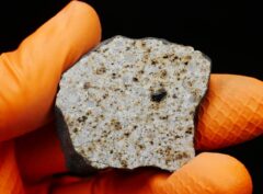 HAMMADAH AL HAMRA 346 (22.67 gram) endpiece