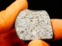 HAMMADAH AL HAMRA 346 (21.60 gram) endpiece