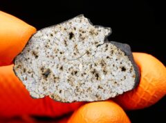 HAMMADAH AL HAMRA 346 (14.22 gram) endpiece