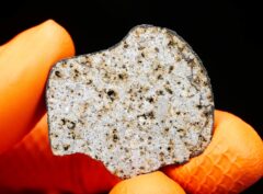 HAMMADAH AL HAMRA 346 (17.60 gram) endpiece