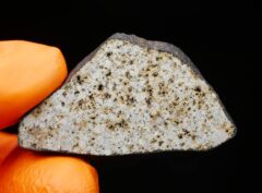 HAMMADAH AL HAMRA 346 (10.24 gram)