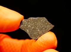 NWA 15418 (1.85 gram)