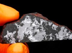ODESSA (32.90 gram)